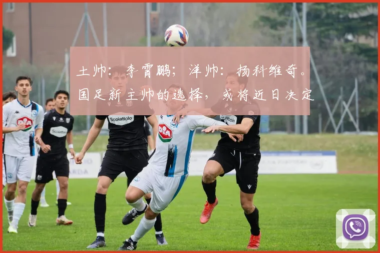 土帅：李霄鹏；洋帅：扬科维奇。国足新主帅的选择，或将近日决定