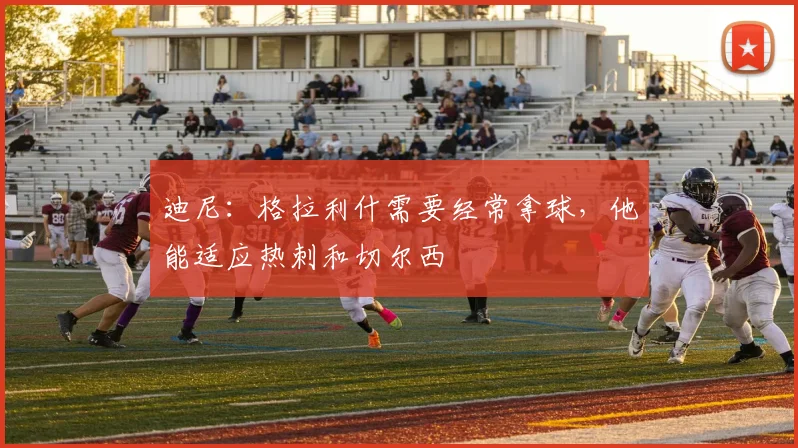 迪尼：格拉利什需要经常拿球，他能适应热刺和切尔西