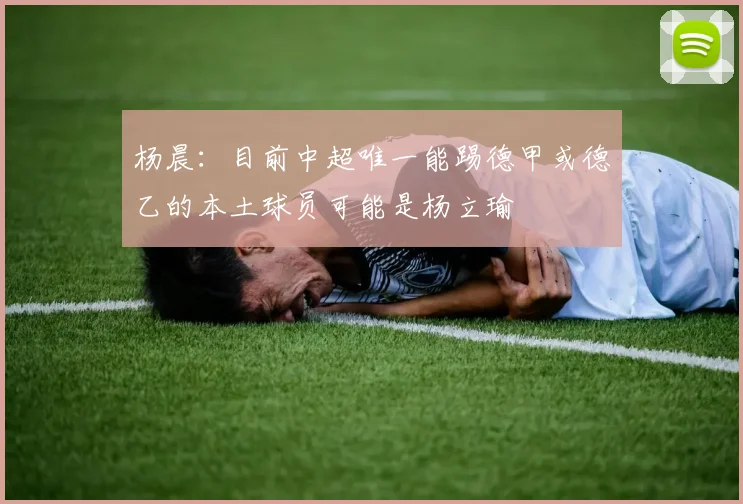 杨晨：目前中超唯一能踢德甲或德乙的本土球员可能是杨立瑜