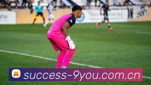 九游体育平台生态图